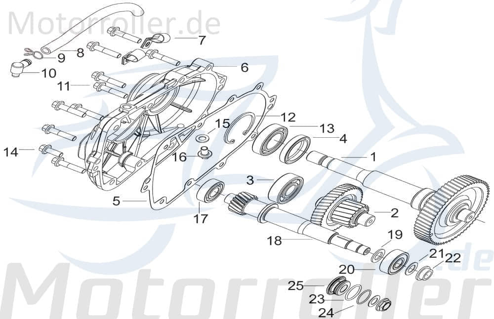 Simmering 250ccm 4Takt B22040B38528 Motorroller.de 52x38mm Radialdichtring Wellendichtring Abdichtring Dichtringe Öldichtring