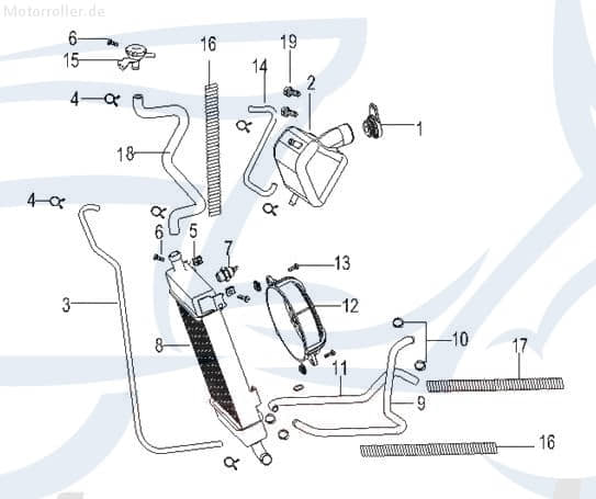 SMC Schlauchklemme Durchmesser 16mm Schelle Clip B1701016000A Motorroller.de 125ccm 4Takt Spannring Klemmschelle Schlauchbinder Klemm-Schelle Scooter
