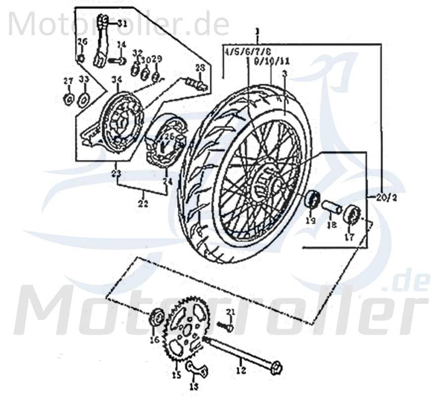 O-Ring Dichtung FIG.C31-29 Motorroller.de