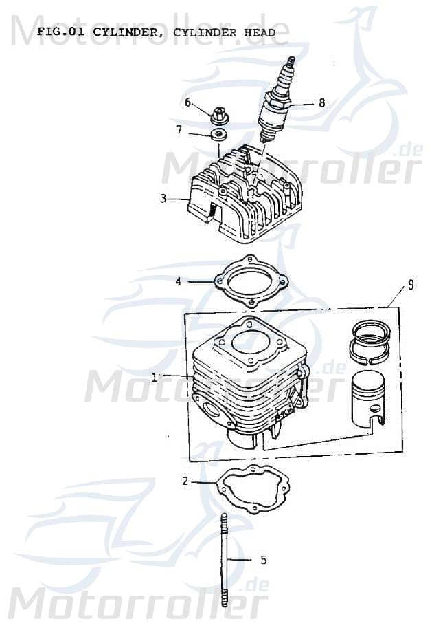 Adly Zylinder Scoody 50 2 Motorzylinder Grauguss 50ccm 2Takt Motorroller.de Grauguss-Zylinder Gusszylinder Aluzylinder Druckgusszylinder Scooter