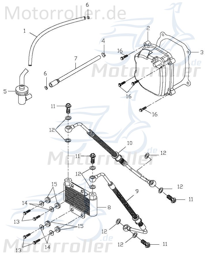 Adly Schelle 9x1mm GK 125 Schlauchschelle Klemme 125ccm 4Takt Motorroller.de Schlauchklemme Spannring clip Klemmschelle Schlauchbinder Klemm-Schelle