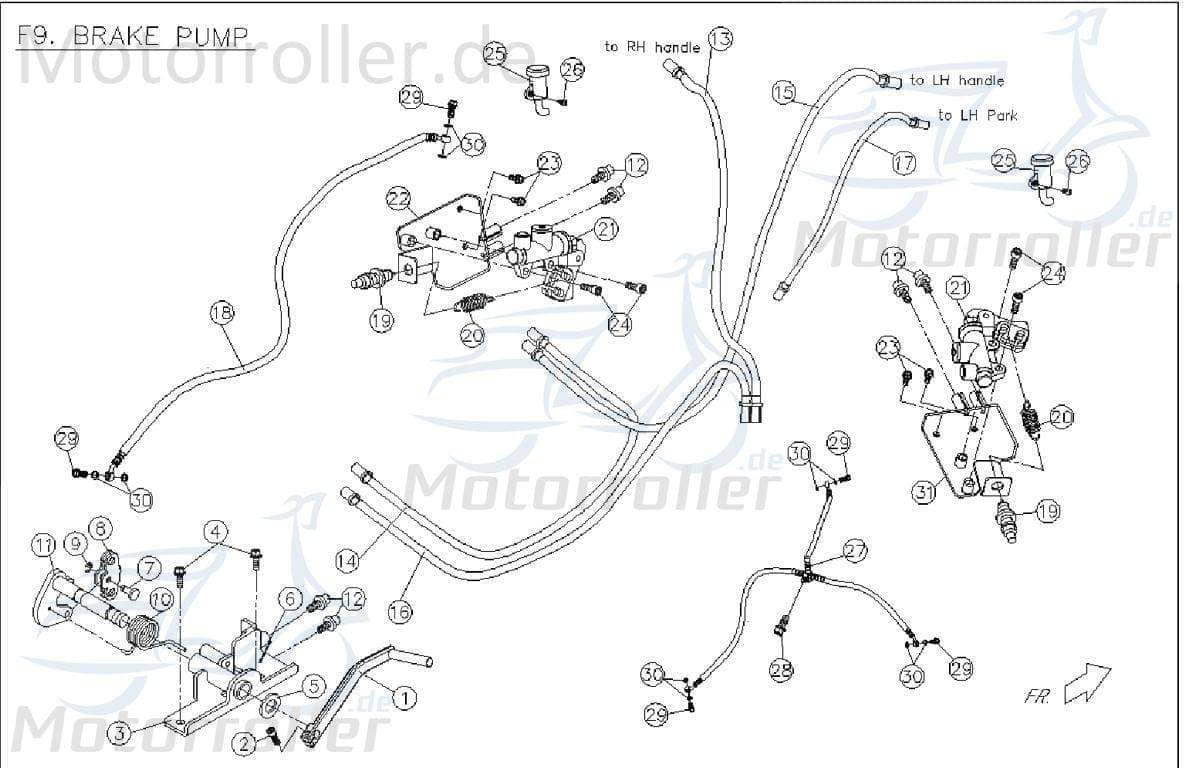 PGO Gleichrichter / Regler TR3 50 Roller Scooter 50ccm 2Takt Motorroller.de Spannungsregler Laderegler Stromregler Lade-Regler Spannungs-Regler
