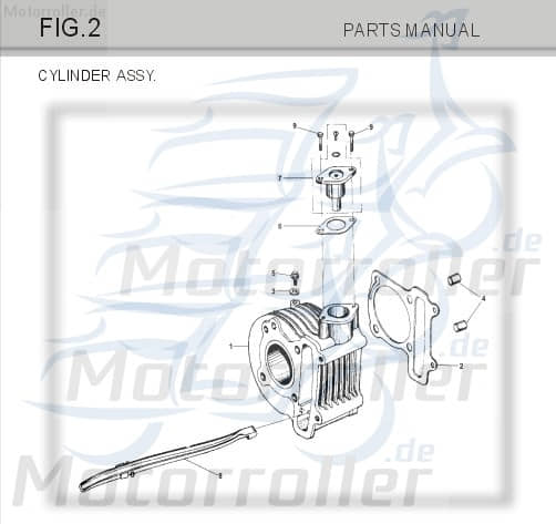 Führungsschiene Steuerkettenspanner Tongjian Strassenbuggy 150 M150-1002300 Motorroller.de Eppella ECM TBM Twister Hammerhead Wangye Kasea Buggy