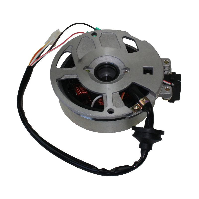 Lichtmaschine Stator 2Takt 50ccm Rex Ankerplatte 50ccm 2Takt Motorroller.de Zündplatte Zündgrundplatte Lichtmaschinenspulen Lichtmaschinenwicklung
