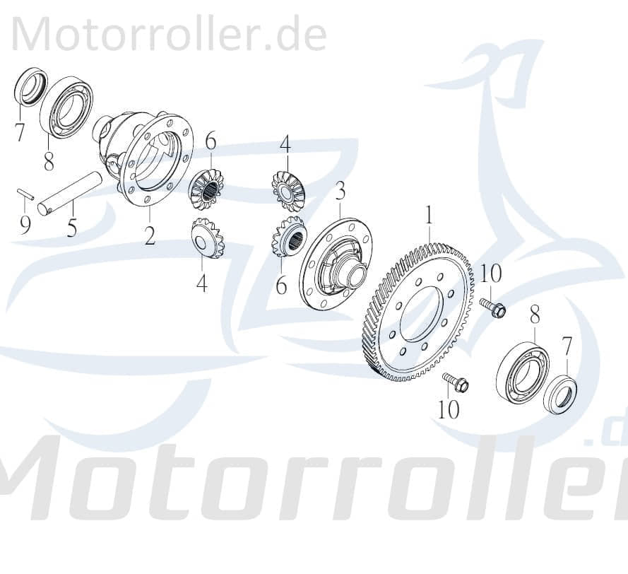 Schneckenräder Differential Schneckendifferential 72264