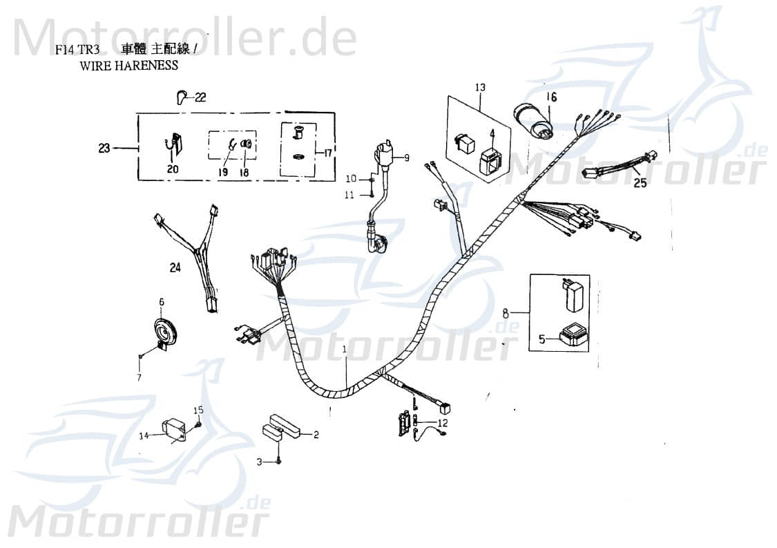 PGO Blinkerkabel Star 50 Blinker-Kabel Roller 50ccm 2Takt Motorroller.de Blinker-Elektrokabel Blinker-Stromkabel Blinker-Elektroleitung 50ccm-2Takt