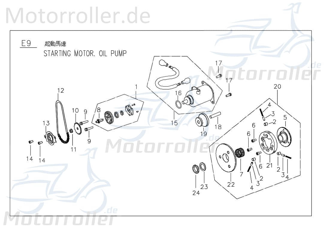 PGO Kette Ölpumpe G-Max 50 Naked Kettenantrieb Antriebskette C10812200001 Motorroller.de PGO 50ccm-2Takt G-Max 50 25 km/h Mokick Ersatzteil Service