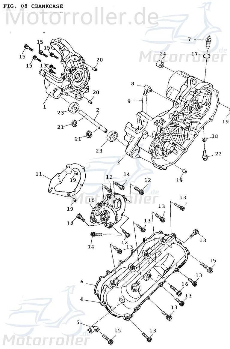 ECM Eppella Extra 50 Motorhalterachse 50ccm 2Takt 139QM-0502 Motorroller.de 8x20x19mm Silentbuchse Gummi-Metall Motorachse Motorträgerachse 1E40QMB