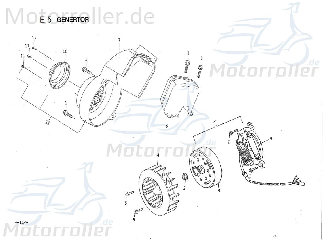 PGO Gebläserad Lüfterrad 50ccm-2Takt Galaxy 50 Flügelrad B2E10400109 Motorroller.de Luftrad Lüfter-Rad Luft-Rad Ventilatorrad Belüftungsrad Comet 50