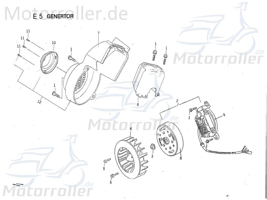 PGO Galaxy 50 Polrad Schwungrad 50ccm 2Takt B9E122003A8 Motorroller.de Polradglocke Schwungscheibe Statorscheibe Schwung-Scheibe Polrad-Glocke Scooter