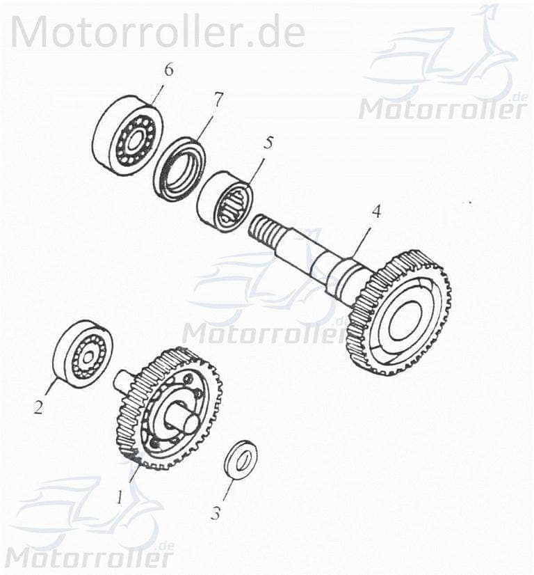 Adly Getriebeausgangswelle 38 Zähne gerade verzahnt Scoody 50 2 Getriebewelle 50ccm 2Takt 23430-104-000 Motorroller.de Ausgangswelle Getriebewelle