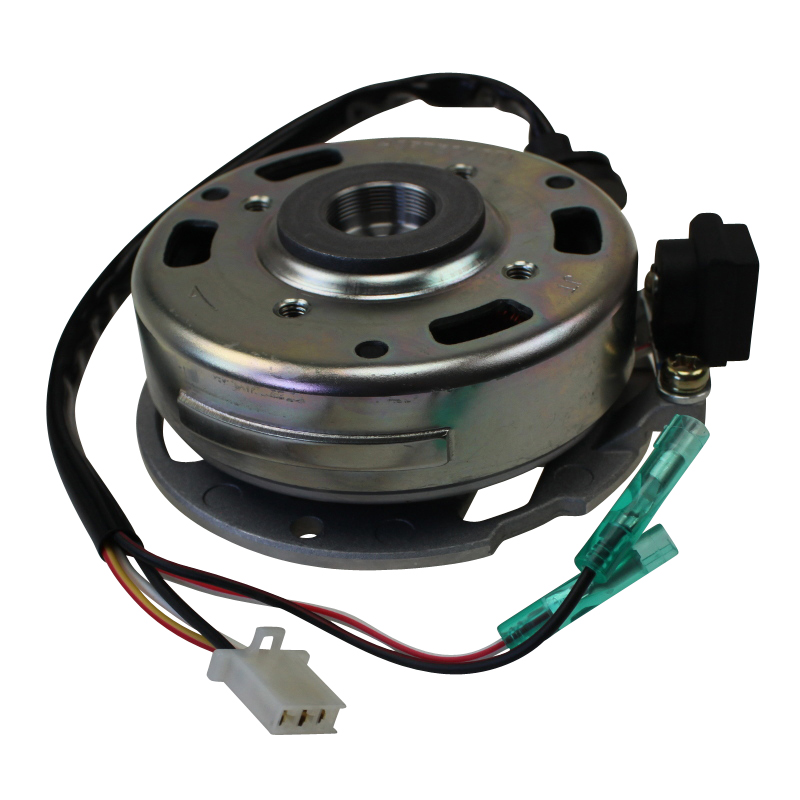 Lichtmaschine Stator 2Takt 50ccm Rex Ankerplatte 50ccm 2Takt Motorroller.de Zündplatte Zündgrundplatte Lichtmaschinenspulen Lichtmaschinenwicklung