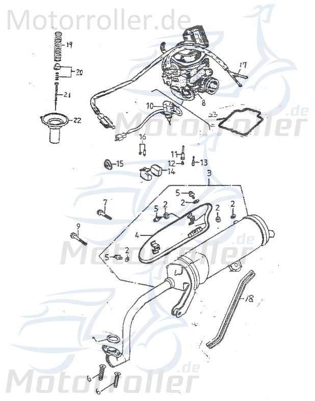Adly Cat 125 Feder Gasschieber 125ccm 4Takt 16102-120-000 Motorroller.de 15x16mm Gasschieberfeder 152QMI Scooter Thunder Bike TB 125 Ersatzteil