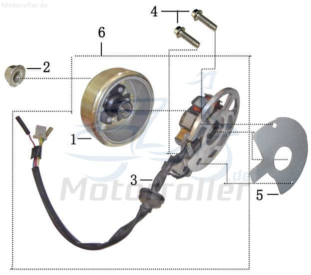 AGM Fighter 50 One Lichtmaschine Stator 50ccm 2Takt 31230805-02 Motorroller.de 6 Spulen Pick-up außen D=79mm 5 Kabel 1x3 + 2x1 Pol Ankerplatte 1E40QMB