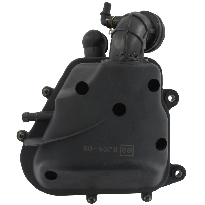 Luftfilterkasten komplett 2Takt 50ccm IP12454