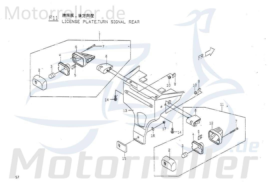 PGO Lampenfassung Big Max 50 Lampensockel Roller 50ccm 2Takt Motorroller.de 50ccm-2Takt Scooter Big Max Sport Ersatzteil Service Inpektion