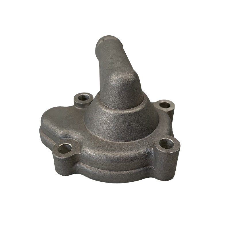 Gehäuse Kühlwasserpumpe Tongjian Hülle Umbauung 250ccm 4Takt Motorroller.de 250ccm-4Takt Buggy Strassenbuggy 250 Sport Straßenbuggy 250 Ersatzteil