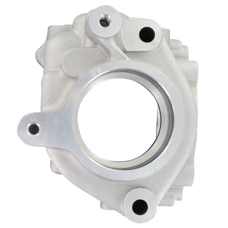 Gehäusedeckel Rückwärtsgang Barossa Cheetah 250 4Takt Motorroller.de Getriebegehäusedeckel Seitendeckel Getriebedeckel Variomatikgehäuse Quad