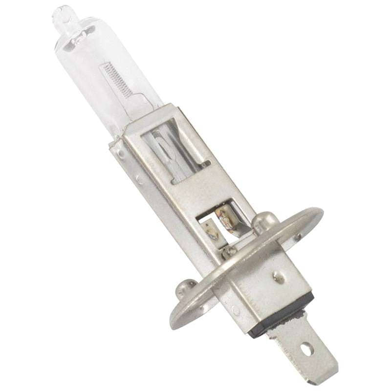Scheinwerferbirne Halogen H1 12V 55W Sockel P14, 5S 5390984 Motorroller.de Halogenleuchte Halogenglühlampe Scheinwerferlampe Glühbirne Leuchtmittel