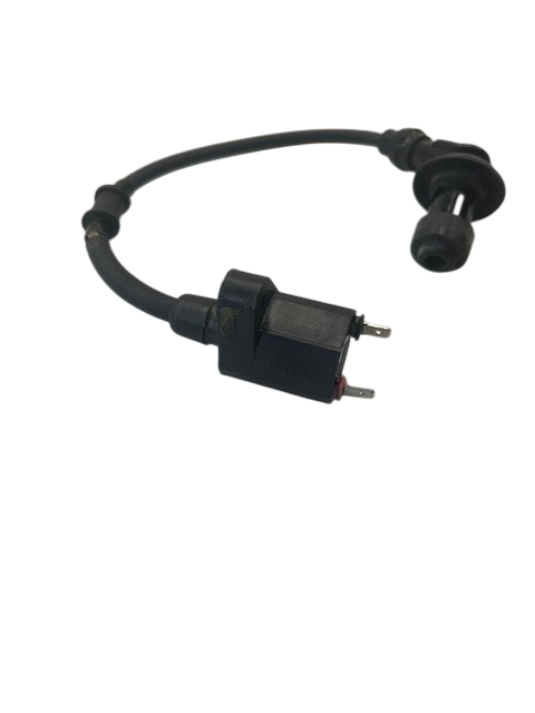 PGO Bugrider 200 Zündspule Zündung 200ccm 4Takt B55846000003 Motorroller.de Zündkabel Zündmodul Kerzenstecker Zünd-Kabel Zünd-Spule Kerzen-Stecker