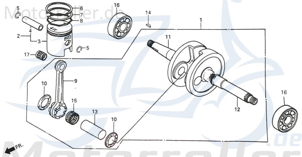 Daelim Message 50 Kolben-Set 50ccm 2Takt DAE-1310C-SC1-1000 Motorroller.de Piston Kit Satz Kolbensatz 50ccm-2Takt Scooter Tapo 50 Ersatzteil Service