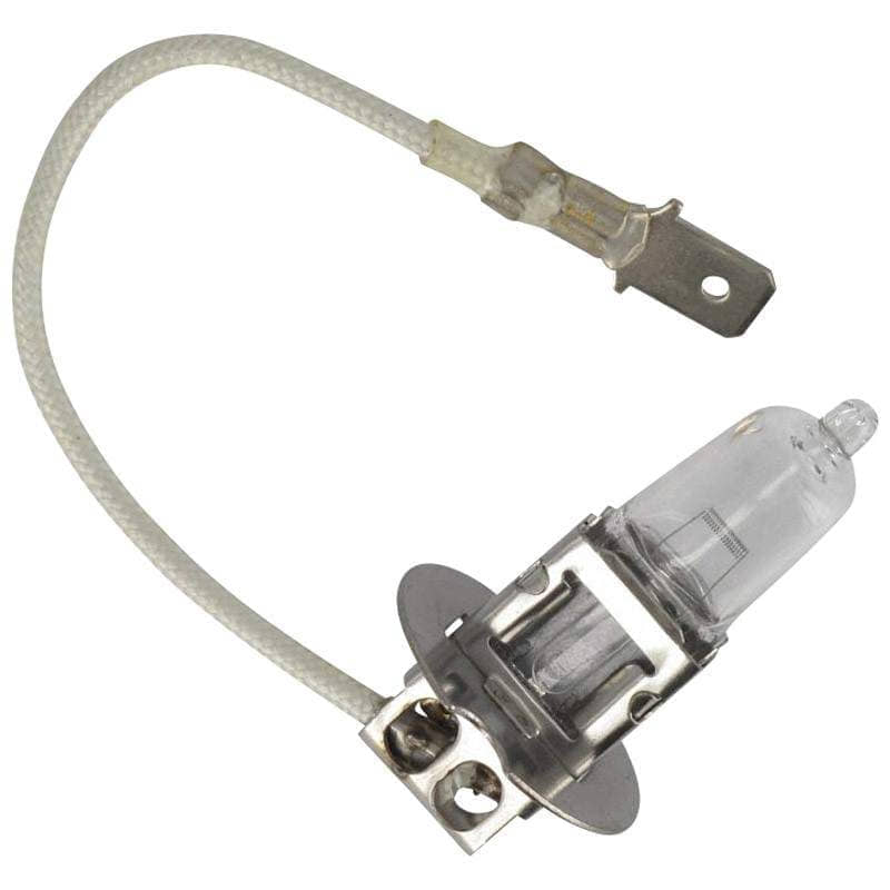 Rex QM125T 10D Halogenleuchte 55W 12V Halogenbirne Motorroller.de Halogenglühlampe 125ccm 4Takt 152QMI YY125QT-28 125cc 4T GY6