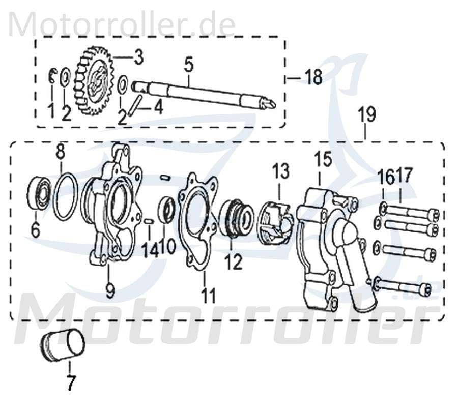 Jonway Insignio 250 DD O-Ring 250ccm 4Takt 270365000000 Motorroller.de Gummidichtung Dichtring Gummiring Oring Gummi-Ring Dicht-Ring Scooter Service