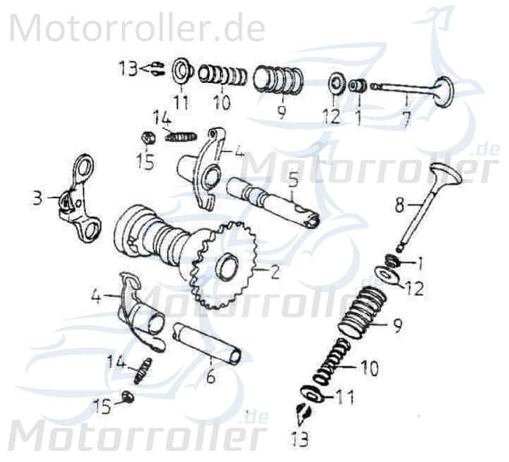 Adly Ventilfederteller oben 125/180ccm 152QMI 125ccm 4Takt Motorroller.de Buggy GK 125 Ersatzteil Service Inpektion Direktimport