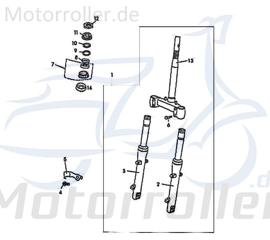 Rex RS125 Kugellagerschale unten 125ccm 4Takt FIG38-7 Motorroller.de 125ccm-4Takt Scooter Ersatzteil Service Inpektion Direktimport