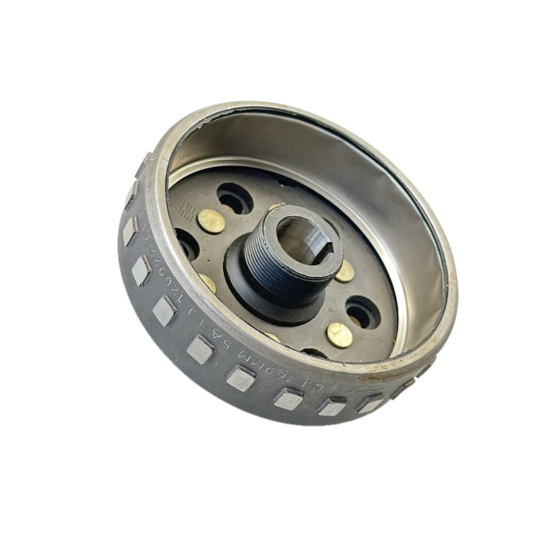 Polrad 250ccm 4Takt 299025000000 Motorroller.de Polradglocke Schwungscheibe Schwungrad Statorscheibe Schwung-Scheibe Außenrad