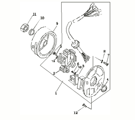CPI Polrad InnenDurchmesser 81mm 14mm 50ccm 34301B09F000 Motorroller.de rechter Kurbelwellenstumpf 2Takt Polradglocke Schwungscheibe Schwungrad Moped