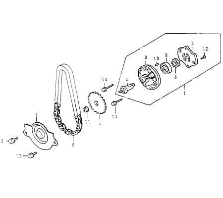 Rex RS125 Antriebskette Ölpumpe 4Takt 125ccm 81005 SC Capriolo QM125T-10A Scooter Motorroller Chinaroller