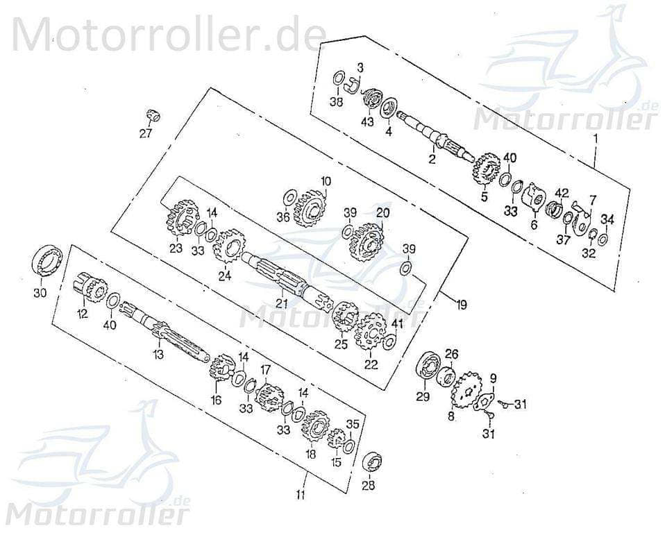 SMC Bundschraube M6x10mm Barossa Cheetah 250 ATV 250ccm 4Takt Motorroller.de Maschinenschraube Flanschschraube Flansch-Schraube Maschinen-Schraube UTV