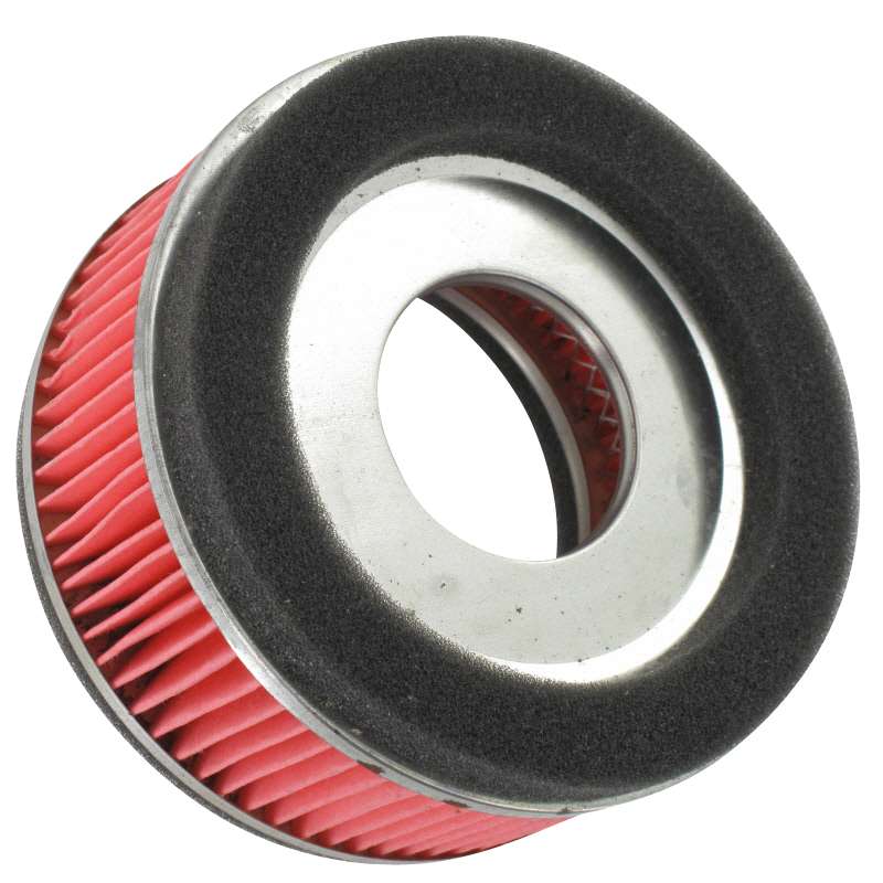 Rex RS125 Capriolo Luftfiltereinsatz 125cc 4Takt 81703 Motorroller.de Kreidler Florett RMC 125 Scooter Chinaroller Ersatzteil Original