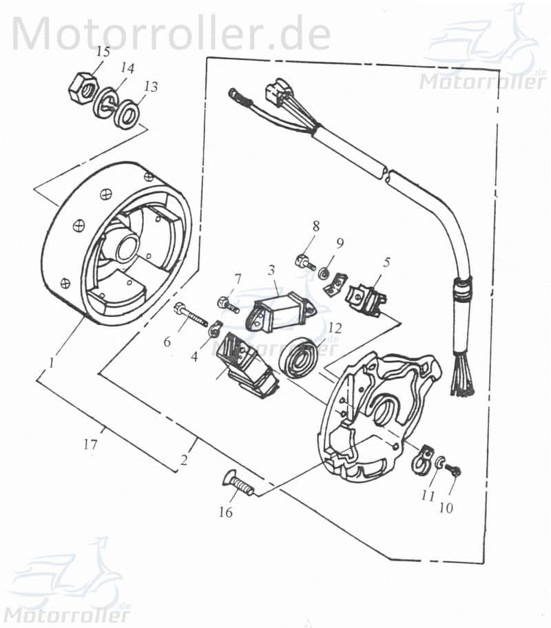 Adly Polrad Mutter Scoody 50 2 Polradglocke 50ccm 2Takt Motorroller.de Schwungscheibe Schwungrad Statorscheibe Schwung-Scheibe Polrad-Glocke Außenrad