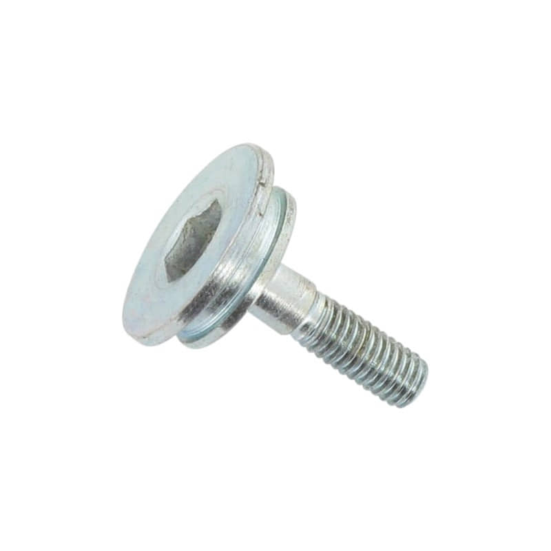 Lagerbolzen M6x22mm für Spannschiene 703911