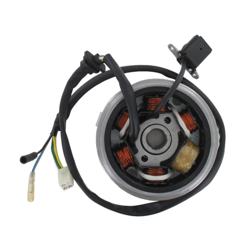 Zündung Rex RS125 Capriolo Street Zündeinheit 83030 Motorroller.de komplett 125ccm-4Takt Scooter RS125 QM125T 10D Ersatzteil Service