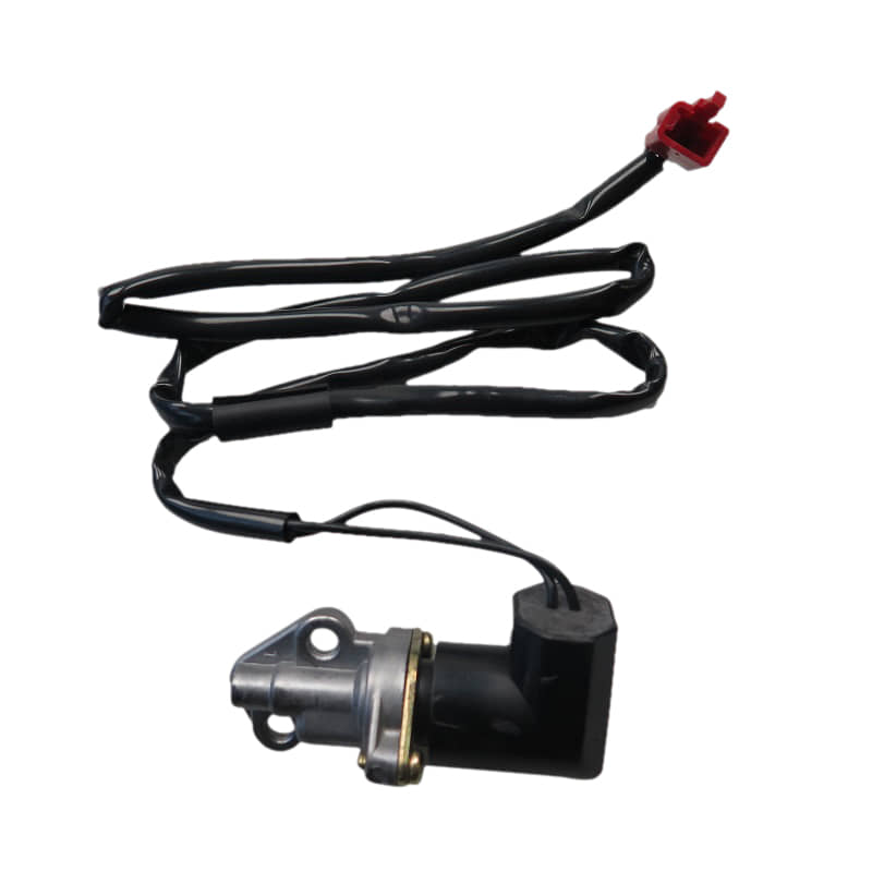 AEON Kaltstartventil Choke Kaltstarter 17215-119-000